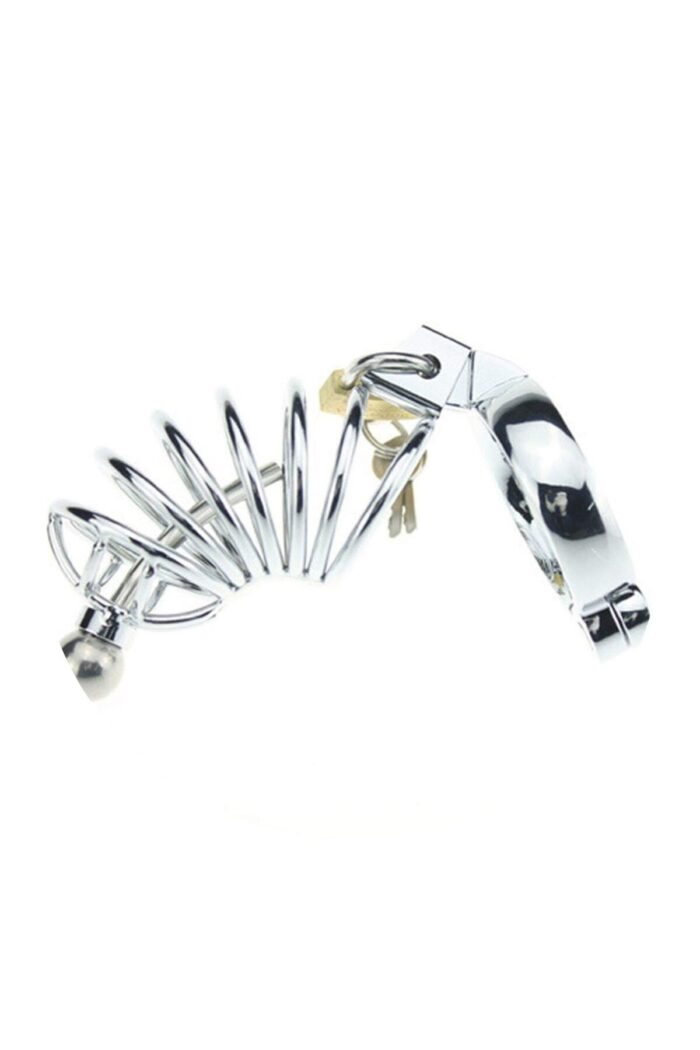 Penis Kafesi - Kilitlenebilir - Fantezi Ürünü Metal Penis Cage - Görsel 6